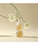 Produktbild 3 von 6, WHAMISA Cactus Wrinkle & Brightening Gesichtsserum