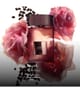 Produktbild 5 von 5, TOM FORD Signature Eau de Parfum