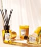 Produktbild 3 von 4, Acqua di Parma Room Diffuser Raumduft