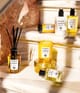 Produktbild 4 von 4, Acqua di Parma Room Diffuser Raumduft