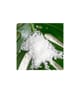Produktbild 3 von 4, AHAVA Body Treatments Badesalz