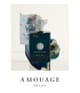 Amouage Odyssey Eau de Parfum 100 ml 701666410362 detail-shot_de