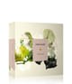 Amouage Odyssey Eau de Parfum 100 ml 701666410379 pack-shot_de