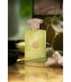 Amouage Odyssey Eau de Parfum 100 ml 701666410379 visual2-shot_de