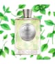 Produktbild 2 von 2, Atkinsons Eau de Parfum Collection Eau de Parfum