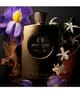 Produktbild 2 von 3, Atkinsons Oud Collection Eau de Parfum