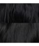 Produktbild 6 von 6, Bumble and bumble Bond-Building Haarserum
