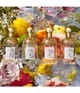 GUERLAIN Aqua Allegoria Eau de Toilette 75 ml 3346470143920 visual-shot_de