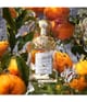 GUERLAIN Aqua Allegoria Eau de Toilette 75 ml 3346470143944 detail-shot_de