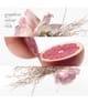 Produktbild 3 von 5, HERMÈS Concentré de Pamplemousse Rose Eau de Toilette