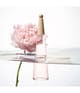 Issey Miyake L'Eau d'Issey Eau de Toilette 50 ml 3423222090593 detail-shot_de