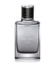 Produktbild 1 von 3, Jimmy Choo Man Eau de Toilette