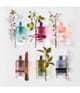 Produktbild 5 von 5, Karl Lagerfeld Fleur de Thé Eau de Parfum