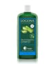 Logona Bio-Aloe Vera Haarshampoo 250 ml 4017645014046 base-shot_de