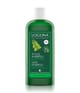 Logona Bio-Brennnessel Haarshampoo 250 ml 4017645008045 packShot
