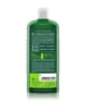 Logona Bio-Zitronenmelisse Haarshampoo 250 ml 4017645008021 pack-shot_de