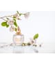 M.Micallef Ananda Eau de Parfum 100 ml 3760060775146 detail-shot_de