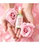 Pixi Rose Oil Blend Gesichtsöl 30 ml 885190830008 visual-shot_de