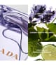 Prada Amber pour Homme Eau de Toilette 100 ml 3614273478298 detail-shot_de