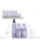 Produktbild 3 von 6, Redken blondage high bright Conditioner