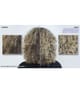 Produktbild 4 von 6, Redken blondage high bright Haarshampoo