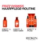 Redken Frizz Dismiss Haarshampoo 300 ml 3474636920242 visual-shot_de