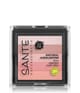 Produktbild 1 von 3, Sante Natural Highlighter