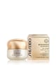 Produktbild 2 von 4, Shiseido Benefiance NutriPerfect Gesichtscreme