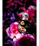 Produktbild 3 von 4, Sisley Izia Eau de Parfum