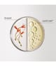 Produktbild 5 von 6, System Professional LipidCode LuxeBlond Haarlotion