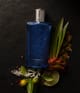Produktbild 4 von 4, The Merchant of Venice Nobil Homo Eau de Parfum
