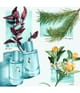 Produktbild 3 von 3, Tiffany & Co. & Love for Her Eau de Parfum