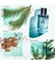 Produktbild 3 von 4, Tiffany & Co. & Love for Him Deodorant Spray