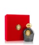Tiziana Terenzi Hale Bopp Parfum 100 ml 8016741932588 visual3-shot_de