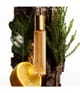 Produktbild 2 von 3, TOM FORD Signature Eau de Parfum