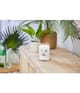 Produktbild 2 von 3, Yankee Candle Coconut Beach Duftkerze
