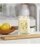Produktbild 2 von 3, Yankee Candle Iced Berry Lemonade Duftkerze