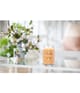 Produktbild 2 von 3, Yankee Candle Mango Ice Cream Duftkerze