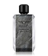 Bentley Momentum Eau de Parfum