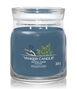 Yankee Candle Clean Cotton Duftkerze im Glas gross (5 Dochte)