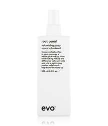 evo root canal Volumenspray