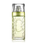 Die Top Vergleichssieger - Entdecken Sie auf dieser Seite die Falconia parfum Ihrer Träume