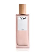 Louve parfum - Die ausgezeichnetesten Louve parfum ausführlich analysiert!