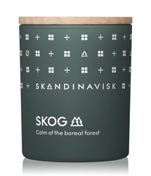 SKANDINAVISK SKOG Duftkerze