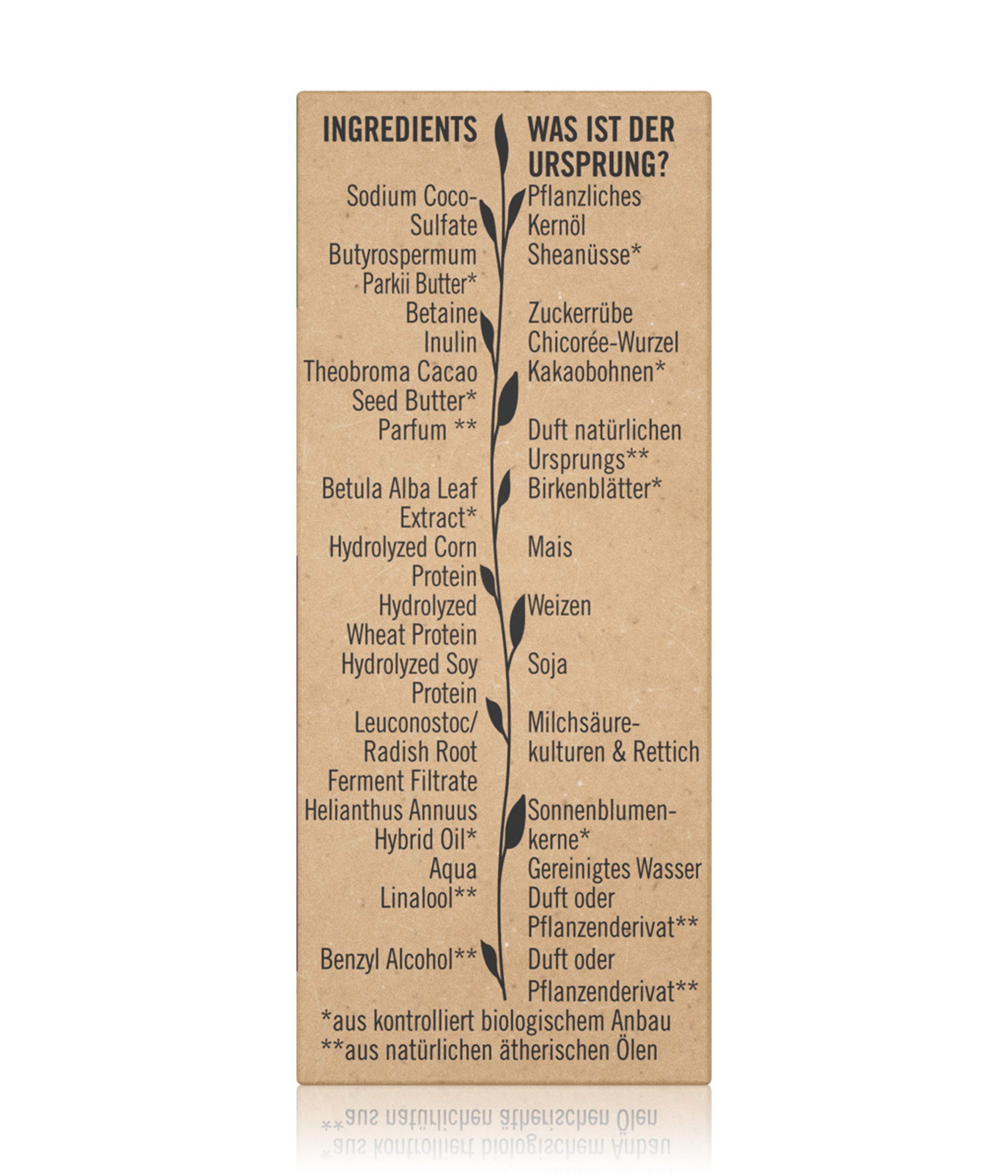 Produktbild 4 von 6, Sante Bio-Birkenblatt & pflanzliches Protein Festes Shampoo