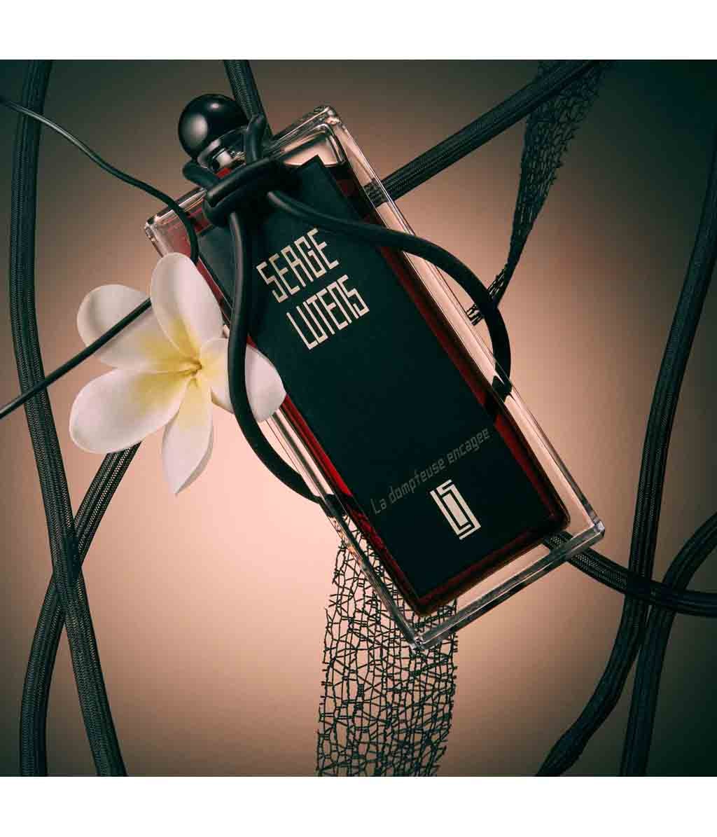 Serge lutens serge noire описание