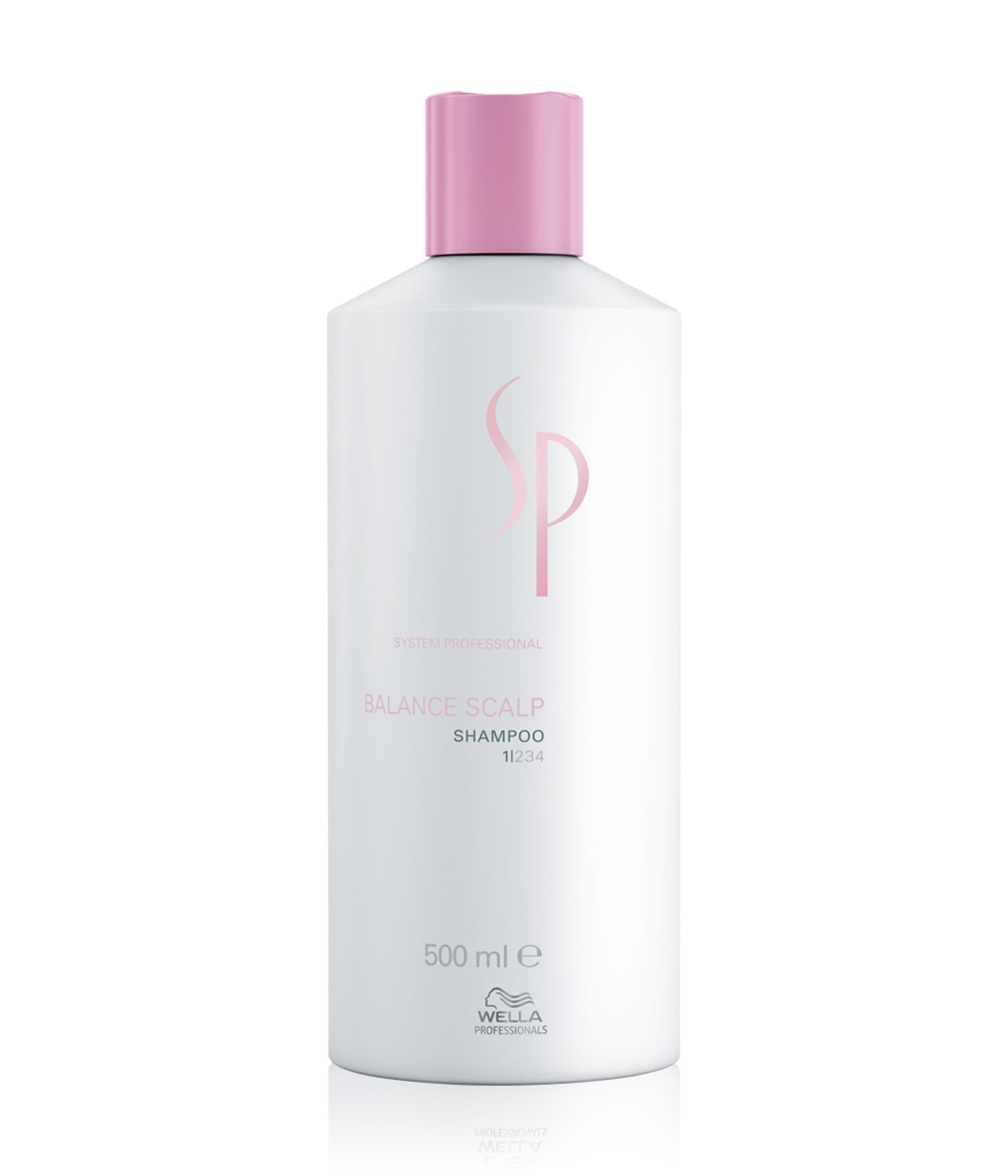 Produktbild 1 von 6, System Professional Balance Haarshampoo