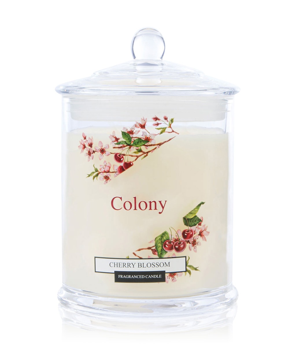 Wax Lyrical Colony Cherry Blossom Duftkerze bestellen flaconi