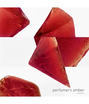 4. Bild von HERMÈS Eau de Merveilles L'Ambre des Merveilles Eau de Parfum