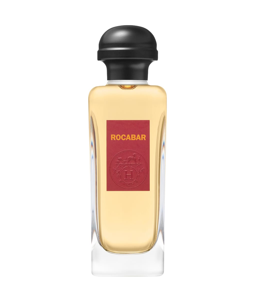 HERMÈS Rocabar Eau de Toilette 100 ml 3346130011316 base-shot_de